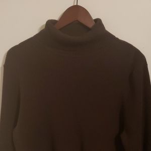 Brown Turtleneck
